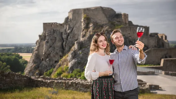 Thẻ Bratislava với tùy chọn phương tiện giao thông công cộng và tour đi bộ