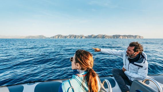 Alcudia or Can Picafort: Dolphin-Watching Cruise