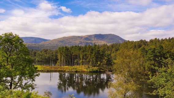 Lake District: ทัวร์ครึ่งวันกับ Beatrix Potter