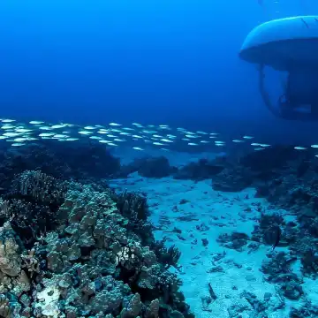 コナ発：ビッグアイランド水中サブマリンアドベンチャー | Trip.com