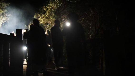 Orlando: Gatorland Flashlight Tour at Night