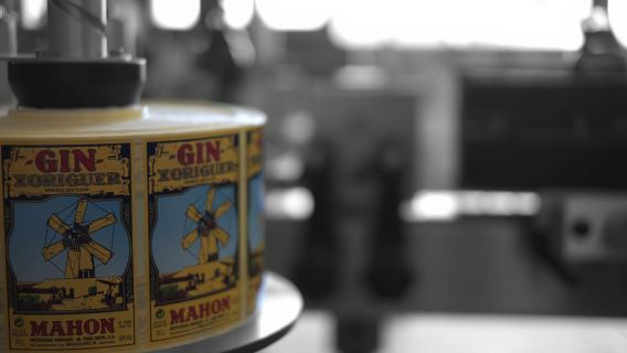 Mahón: tour della distilleria di gin con degustazione e antipasti