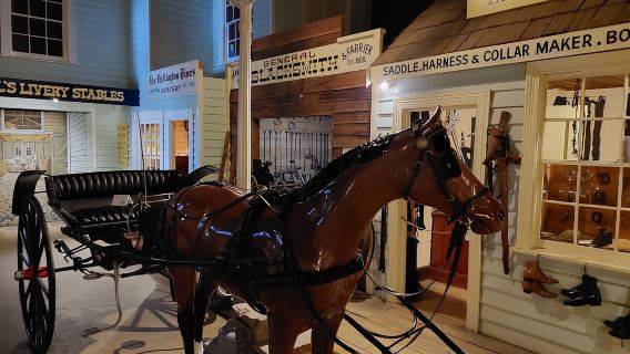 Burnie Attractions Bus