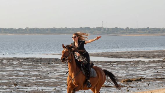 Paseo a caballo PRIVADO en la playa