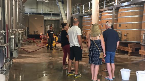 From Montpellier: Half-Day Vineyard & Pic Saint-Loup Tour