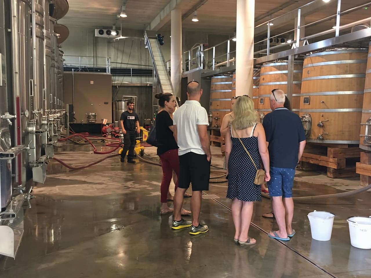 From Montpellier: Half-Day Vineyard & Pic Saint-Loup Tour