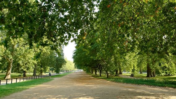 Лондон: билет на автобус Hop-On Hop-Off и круглосуточный круиз по Темзе