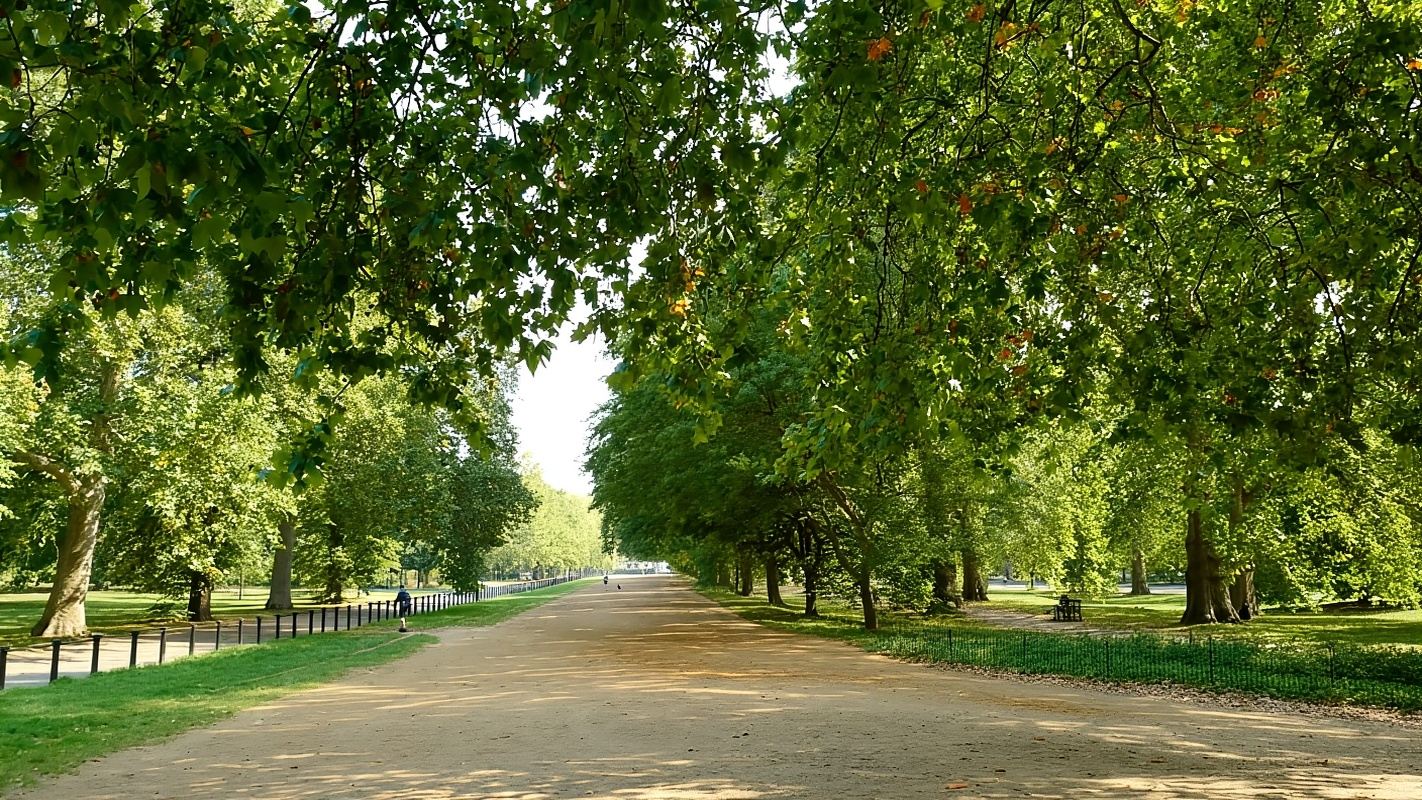 London: Hop-On Hop-Off Pass with Thames River Cruise 24 Hrs