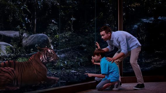 Singapore: Night Safari Singapore w/ Tram