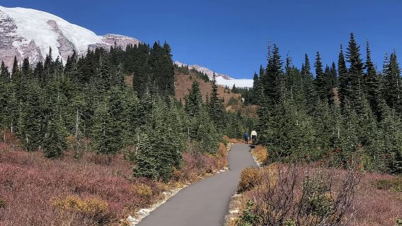 Mount Rainier National Park Day Tour from Seattle