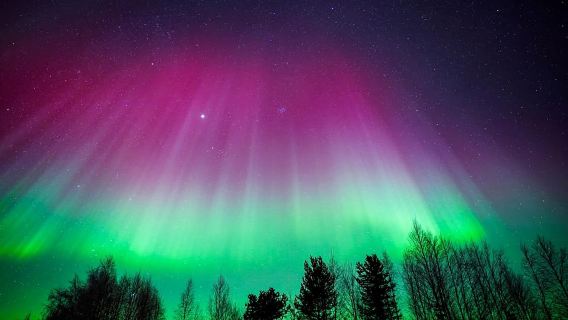 Rovaniemi: Northern Lights Wilderness Tour with Camera