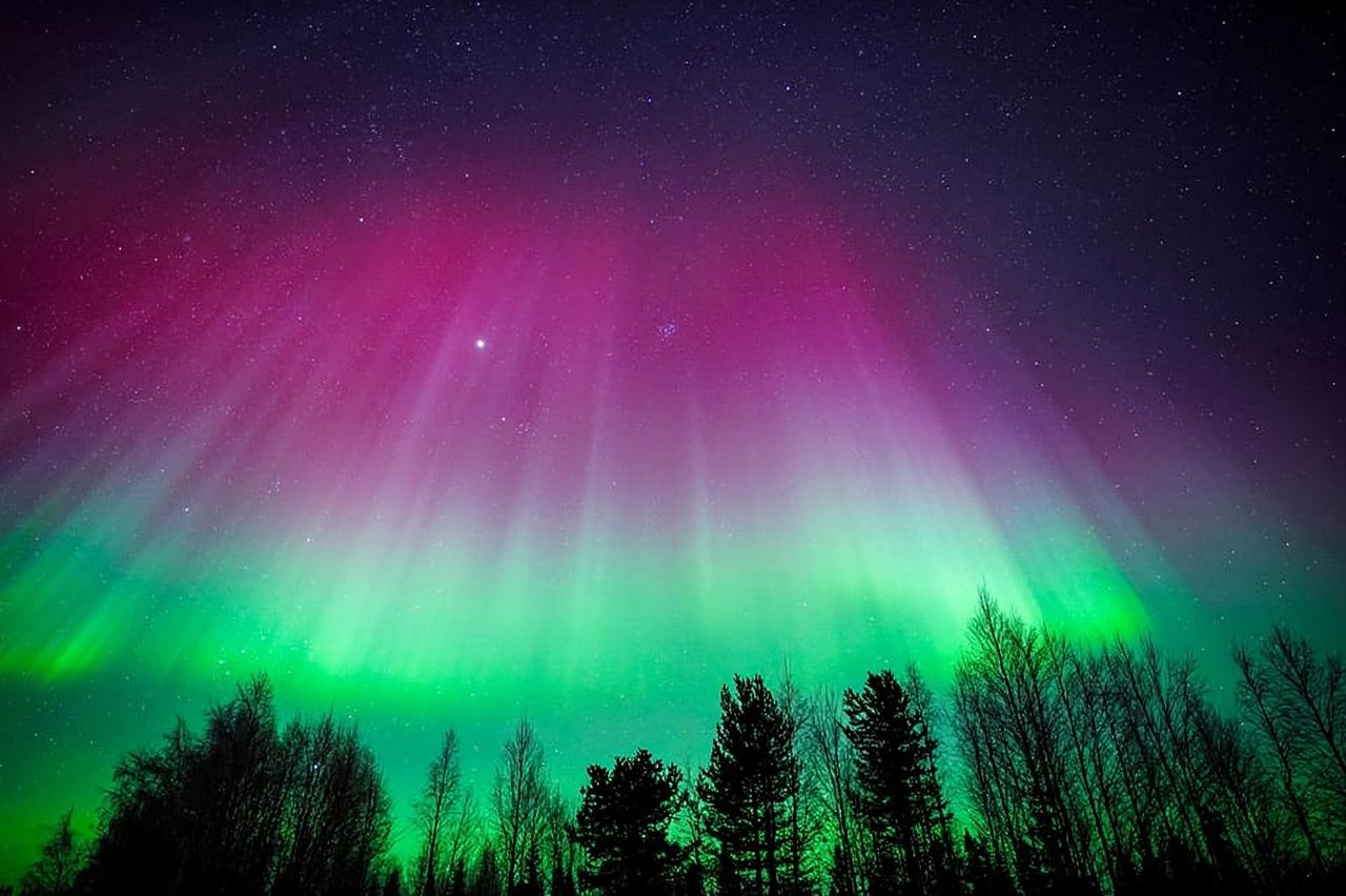 Rovaniemi: Tour khám phá thiên nhiên hoang dã Bắc Cực Quang cùng máy ảnh