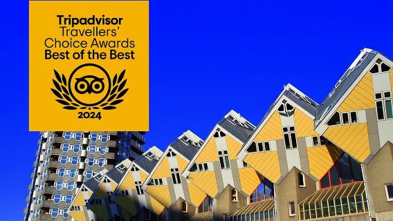 꼭 해봐야 할 것: 현지 가이드와 함께하는 로테르담의 주요 명소 및 역사 탐방