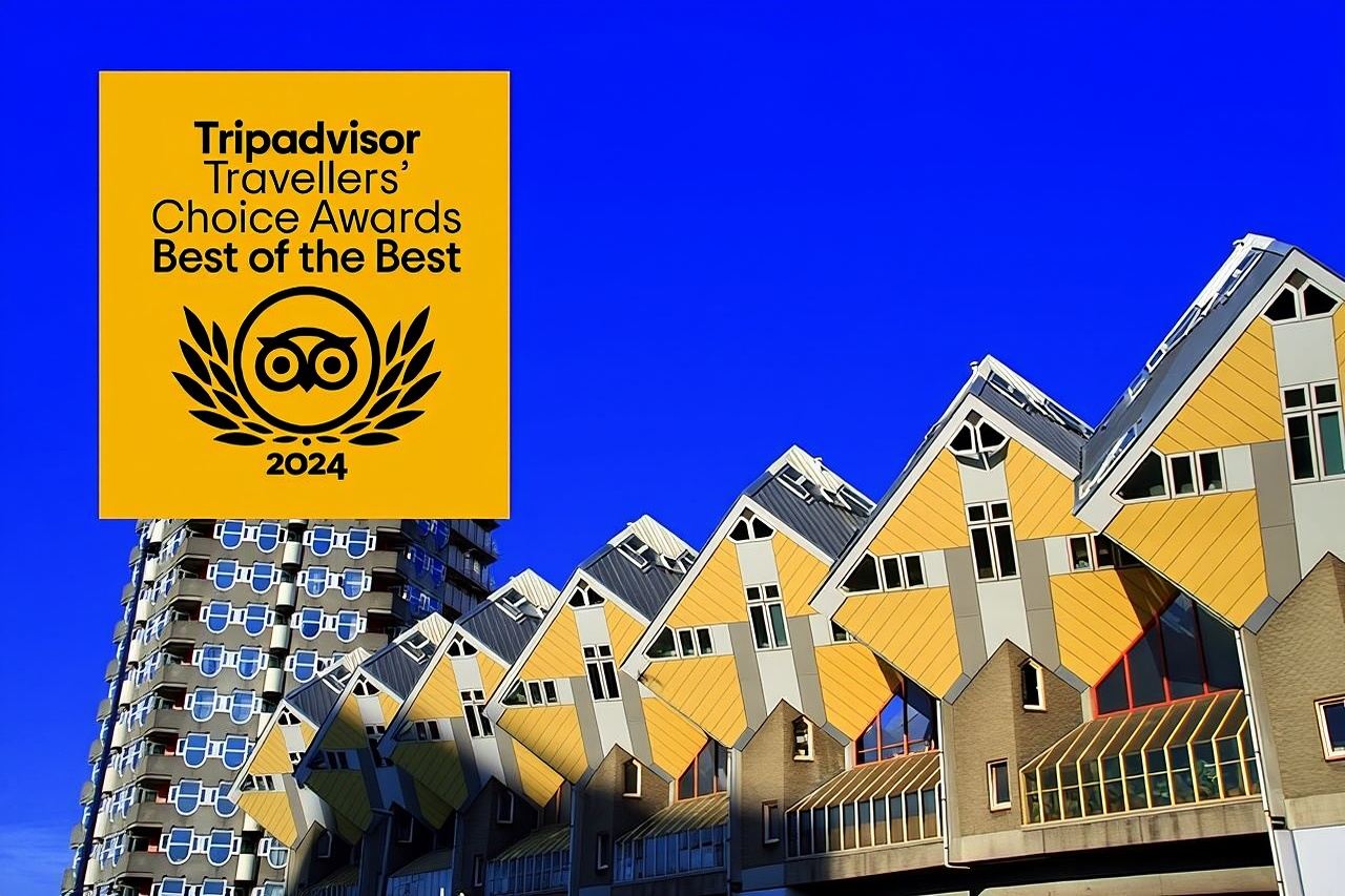 MUST DO: Rotterdam highlights & history with a local guide 