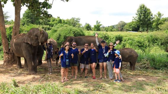 Chiang Mai Living Green Elephant Sanctuary Half-Day Tour