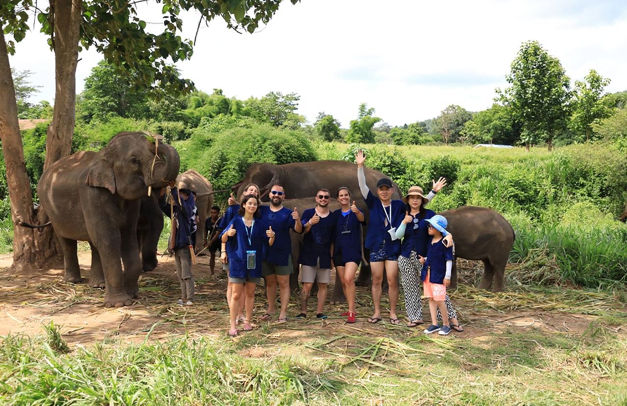 Tour di un giorno al Living Green Elephant Camp di Chiang Mai