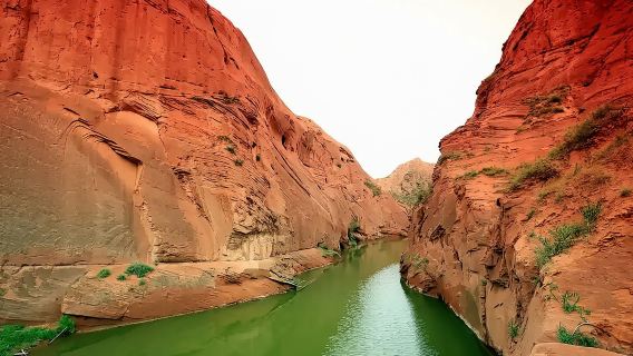 Shaanxi Wave Valley Scenic Area One-Day Chinese Group Tour: Encounter the Earth's Marvels!