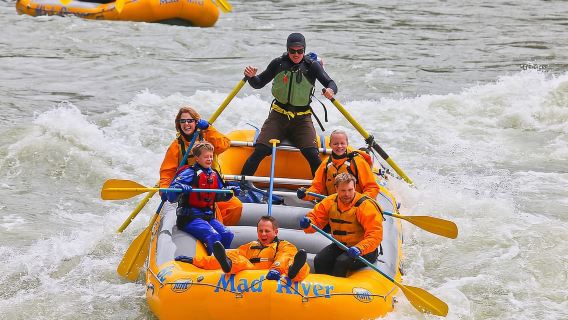 Jackson: Excursión en bote pequeño de 8 millas por aguas bravas