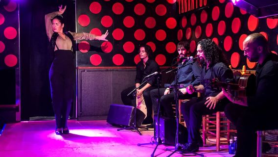 Barcelona: Gothic Quarter and Flamenco Show (Small Group)