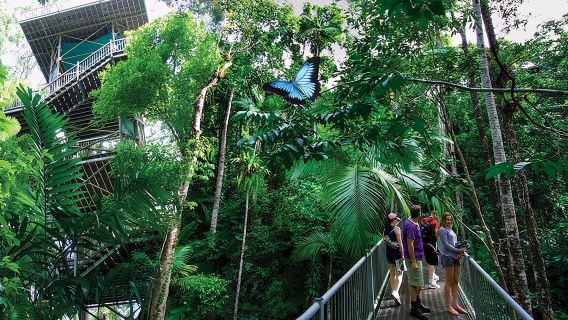 Daintree Discovery Centre Single Pass