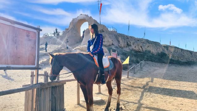 寧夏銀川西夏陵+賀蘭山岩畫+鎮北堡西部影城純玩一日遊