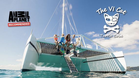 Turtle Cove Catamaran Snorkel and Sail at Little Buck Island STT