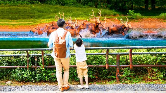 однодневный тур по Пекинскому парку дикой природы [VIP-автомобиль (входной билет включены) ◆ Специальное предложение для всей семьи]