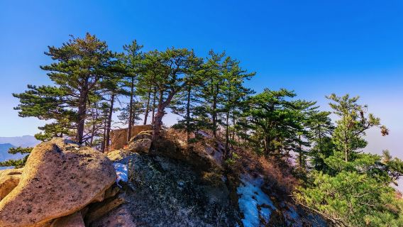 Huashan Day Tour (Private Small Group)