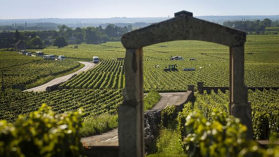 ทัวร์ชิมไวน์ส่วนตัว - เบอร์กันดีแบบไม่เปิดขวด!!