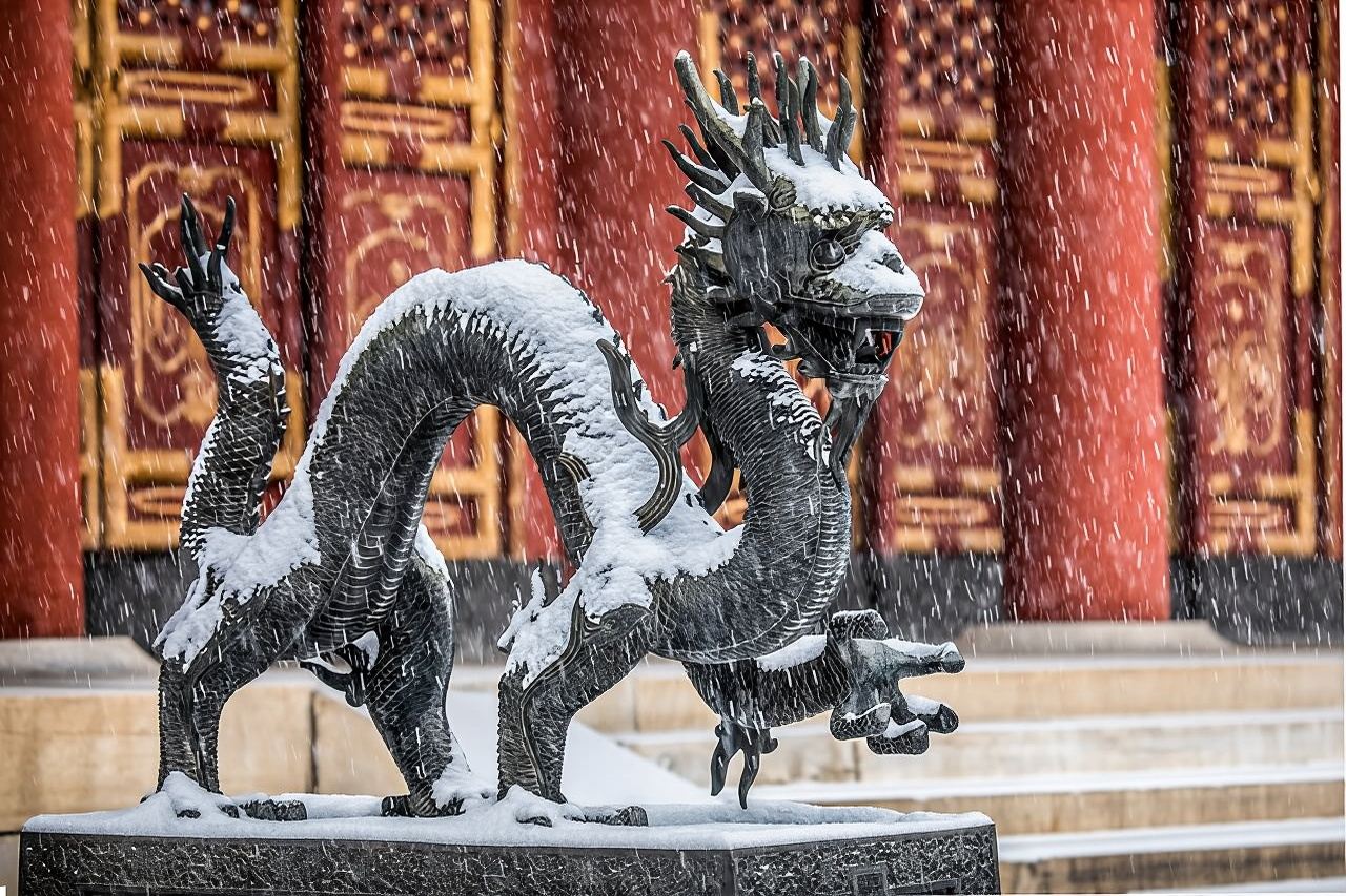 Tour in mini gruppo della Città Proibita, Palazzo d'Estate e Tempio del Cielo