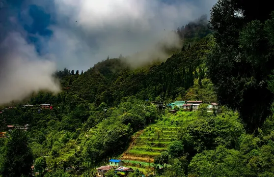 大吉嶺老虎嶺自然漫步（3小時導覽健行體驗）
