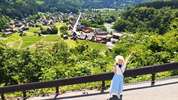 Excursion d'une journée de Hida Takayama et Shirakawa-go à Nagoya, Japon|Petit groupe de 9 personnes disponible