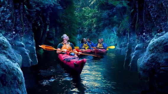 Tauranga: Abendliche Glühwürmchen-Kajaktour