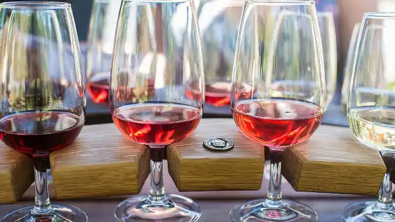 Wine Tour with Wine Tasting from Wanaka