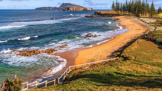 澳洲菲利普島自然公園一日遊【Penguin Parade/瑪璐考拉和動物園】