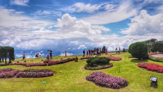 Doi Inthanon Day Trip:Twin Pagodas,Soft Hiking,Coffee Plantation 
