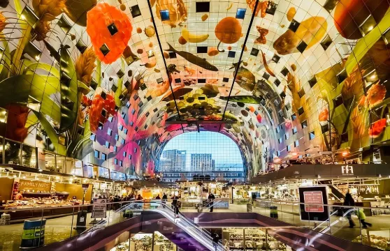 阿姆斯特丹出發鹿特丹、代爾夫特及海牙小旅行團