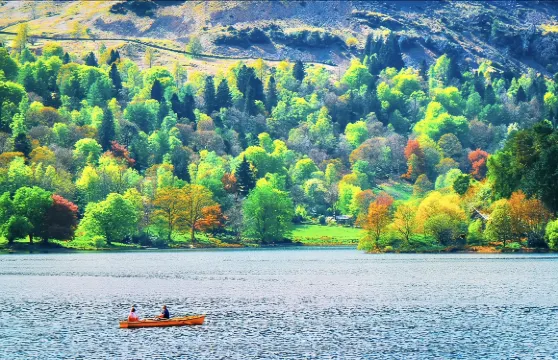 湖區國家公園一日遊