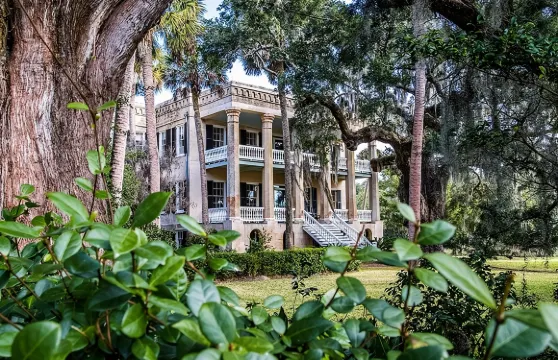 博福特市小巴遊