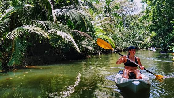 Tour in Kayak alla Scoperta della Fauna Selvatica di Punta Uva con Escursione e Avvistamento di Bradipi