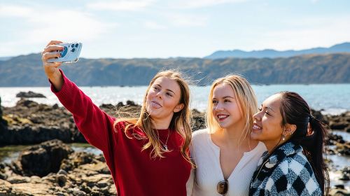 Discover Wellington 3 hour City Tour Day Tours