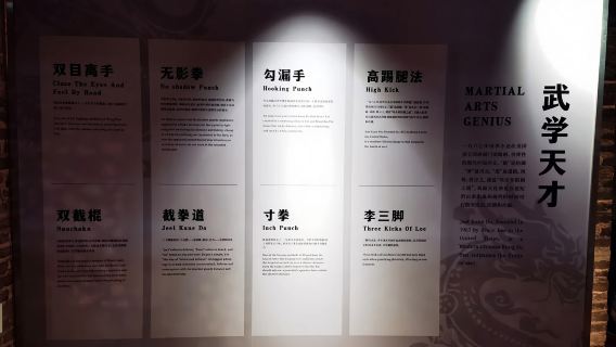 Bruce Lee's Hometown Uncovered: A Private One - Day Tour from Guangzhou South Station