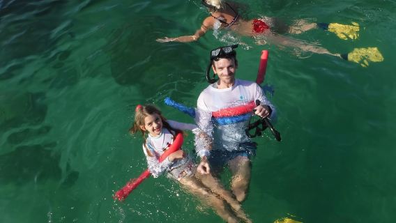 4-stündige Egmont Key Island-Tour mit Delfinen und Schnorcheln