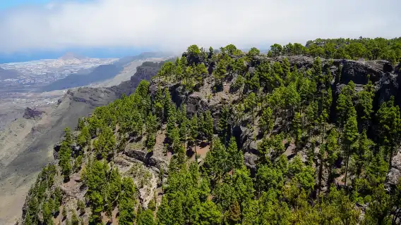 Maspalomas & Las Palmas: Artenara, Tamadaba & cider tasting