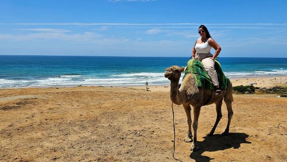 จากมาลากาหรือตารีฟา: ทัวร์ส่วนตัวหนึ่งวันในเมืองแทนเจียร์