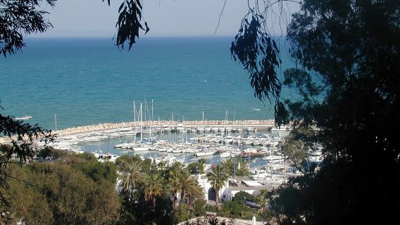 From Tunis: Half-Day Tour to Carthage and Sidi Bou Said