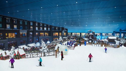 Ski Dubai Snow-Plus Pass with Private Transfers Day Tours 8