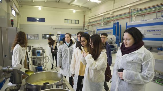 Jaén: Visita indimenticabile al frantoio + degustazione di olio extravergine di oliva