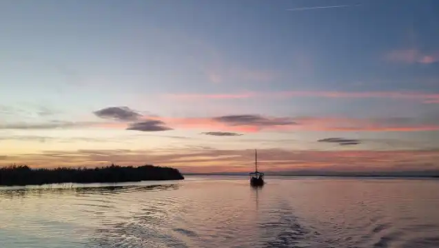 From Valencia: Albufera Natural Park Eco Boat Tour & Sunset