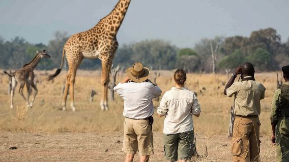 Full day trip in saadani national park